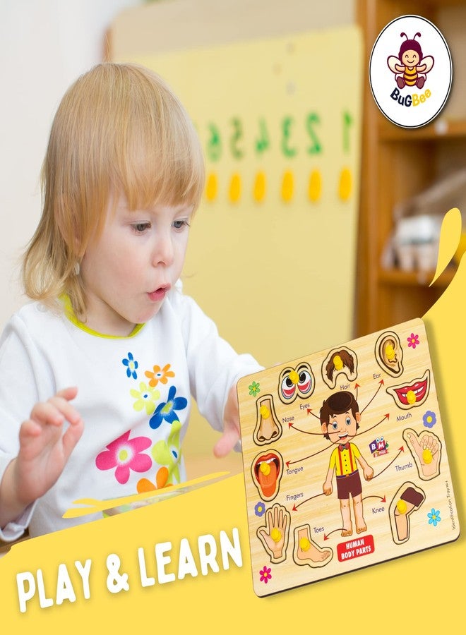 BuGBee Body Parts Toddler Puzzles For Kids Ages 2-4-8 Montessori Wooden Puzzles For Children 3-5 Years Old Preschool Game For Learning Human Body Parts Anatomy Skeleton - Gift Toys For Boy And Girl - Image 3